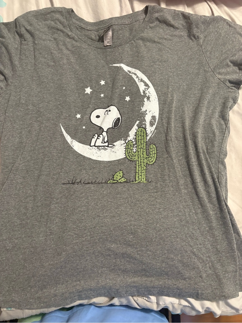 Snoopy Moon Graphic Tee - Grey with Green Cactus